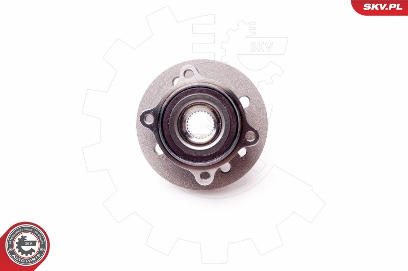 ESEN SKV 29SKV045 Wheel Bearing Kit