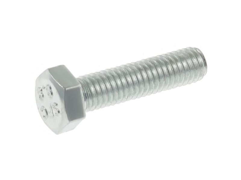 461460.JPG