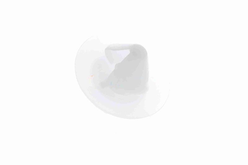 VAICO V42-0381 Clip, trim/protection strip