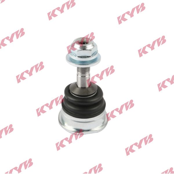 KYB-KBJ4349.JPG