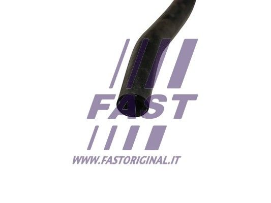 FT61103_3_1.JPG