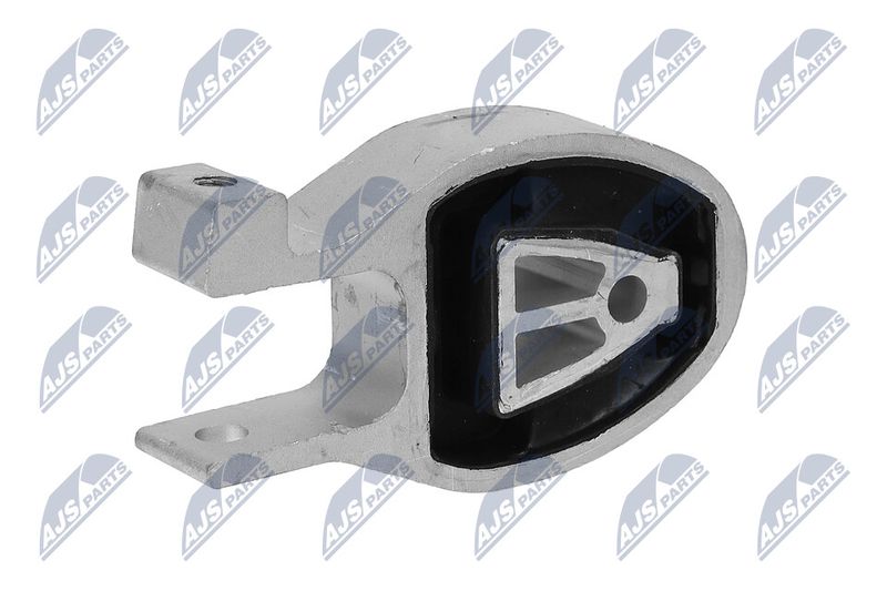 Paigutus, Mootor, NTY ZPS-FR-038