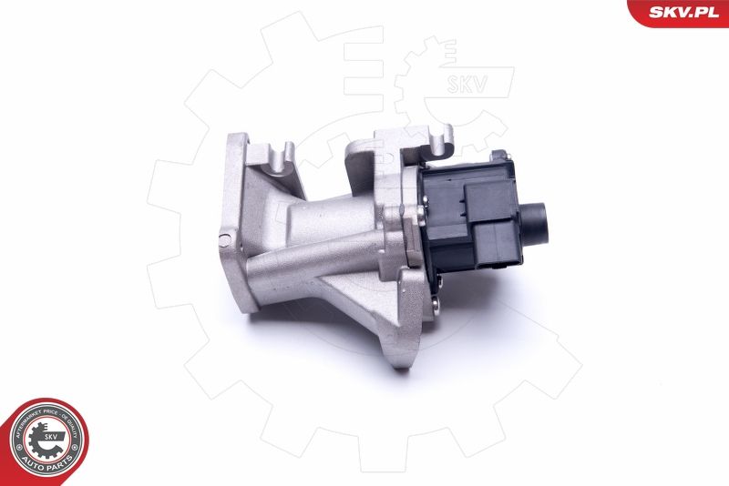 ESEN SKV 14SKV171 EGR Valve