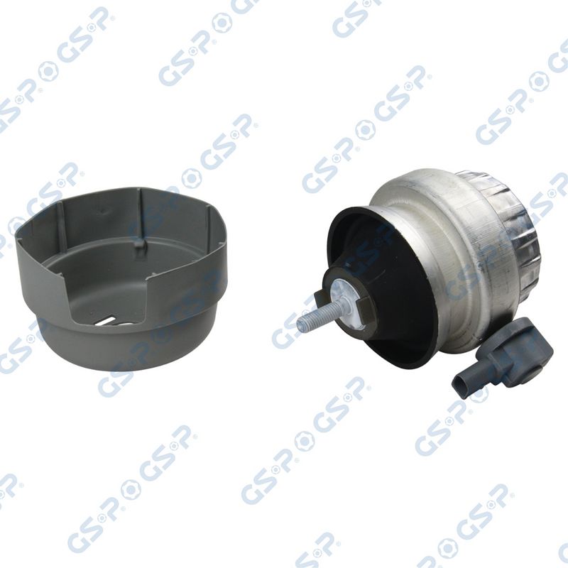SUPORT MOTOR GSP 530368