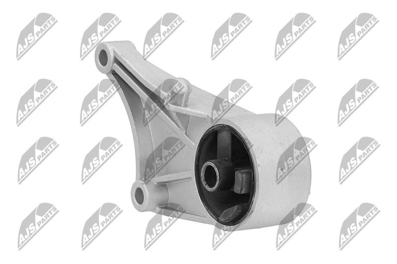 Paigutus, Mootor, NTY ZPS-PL-015