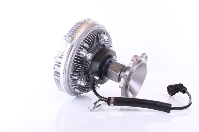 Image 19