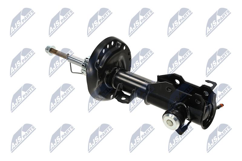 Amort, NTY A-PL-062