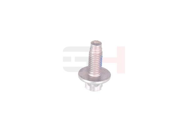 Vedruamordi tugilaager, GH GH-393311