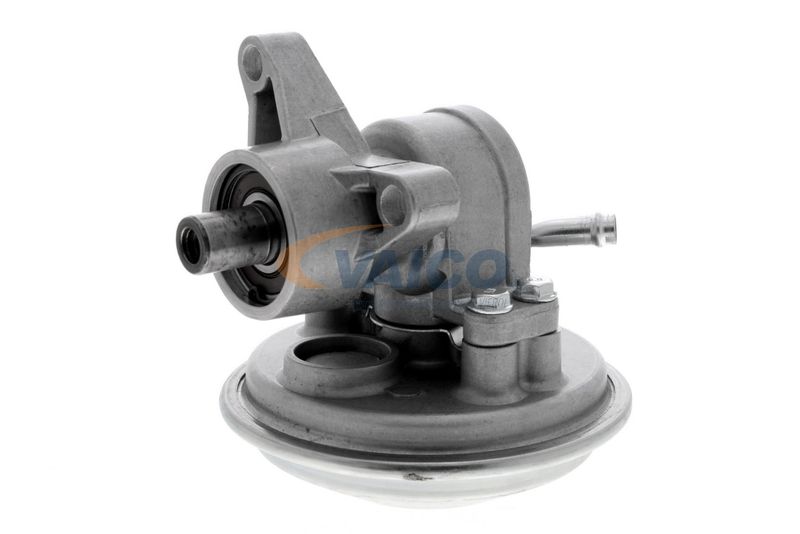 VAICO V25-1907 Mounting, engine