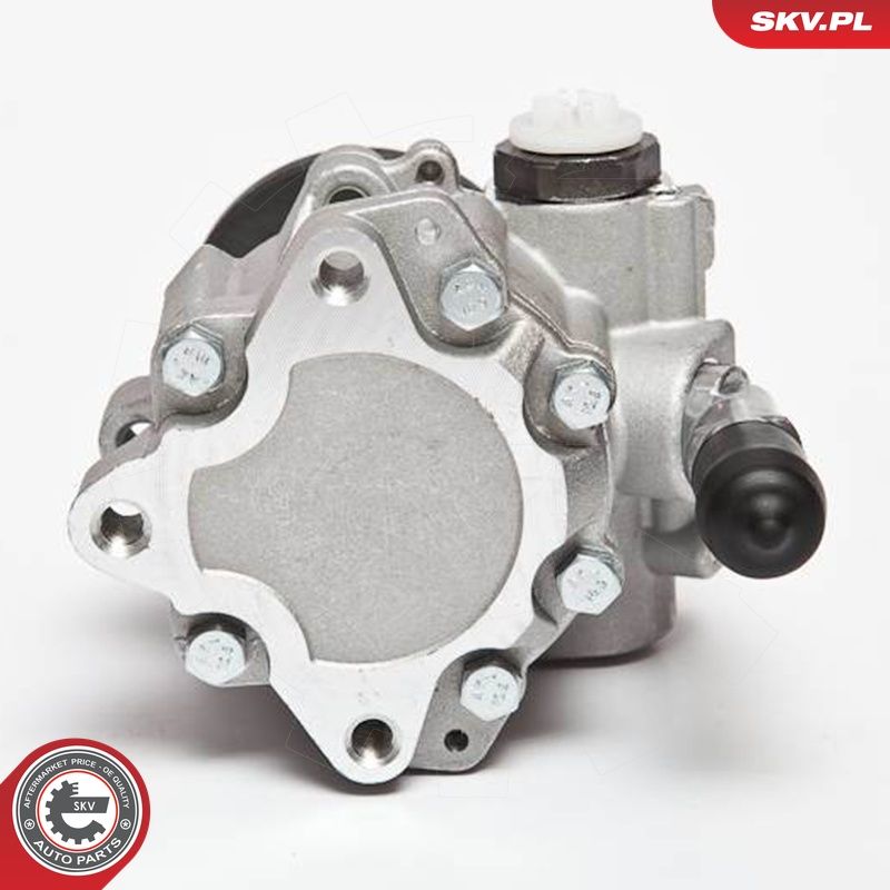 Hüdraulikapump, roolimine, ESEN SKV 10SKV123