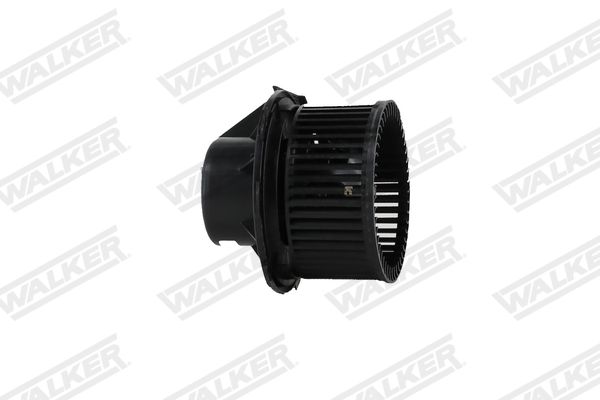 wbl01417_5352514.JPG