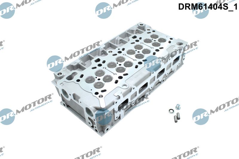 Dr.Motor Automotive Cilindro galvutė