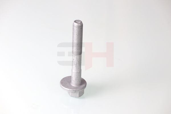 GH GH-399901 Camber Correction Screw