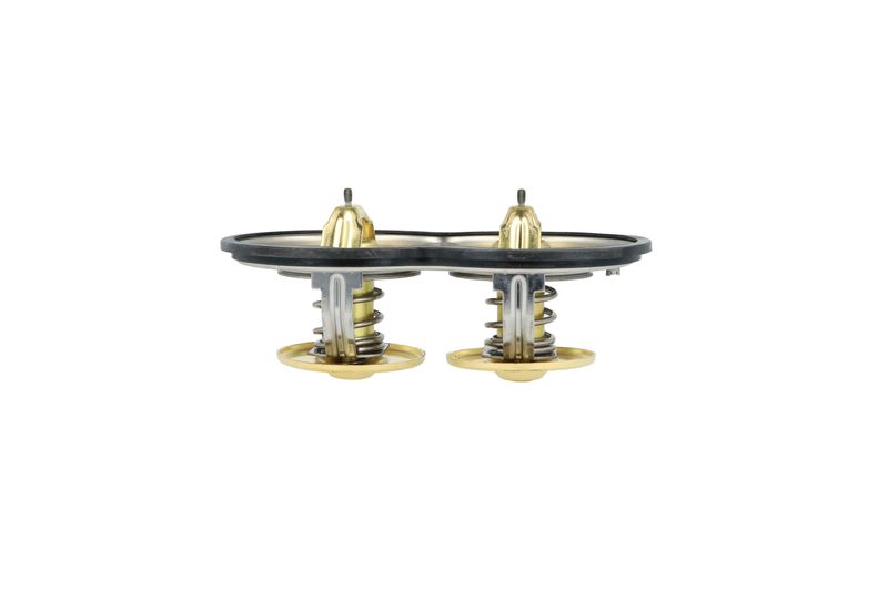 Termostat, chladivo 725374
