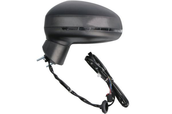 BLIC 5402-25-1629314P Exterior Mirror