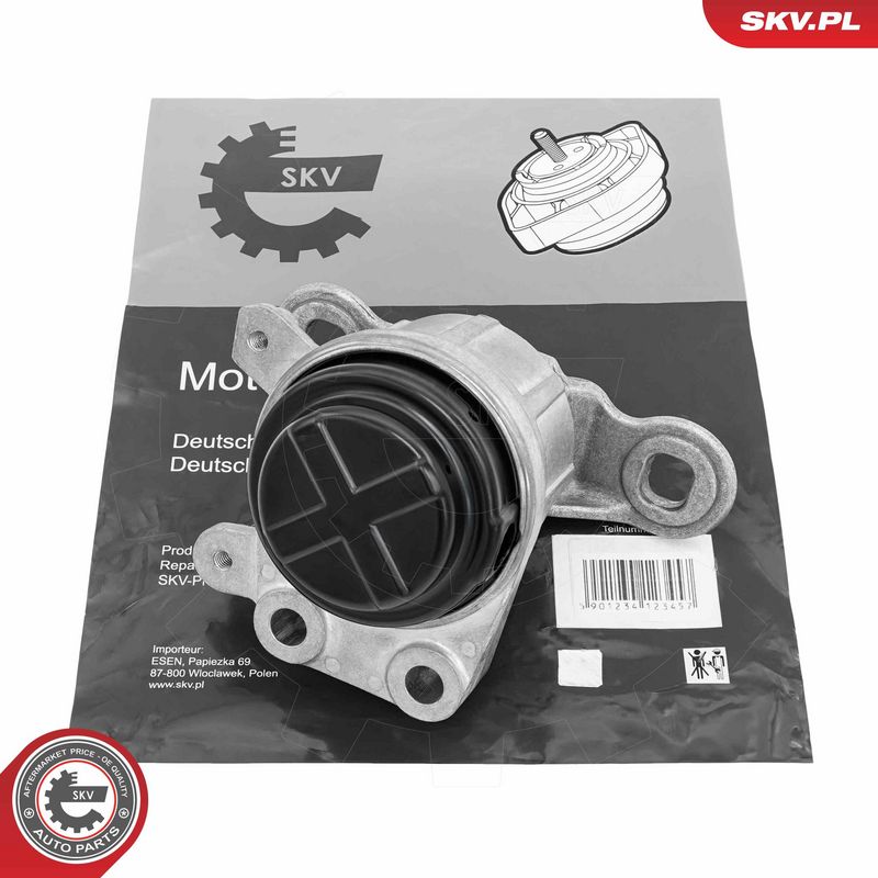 Paigutus, Mootor, ESEN SKV...