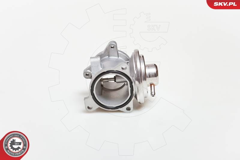 ESEN SKV 14SKV034 EGR Valve