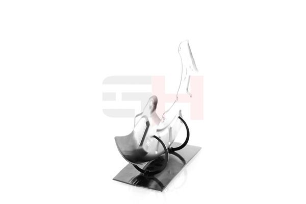 GH GH-489951V Splash Guard, brake disc