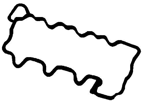 BGA Gasket, cylinder head cover RC7321