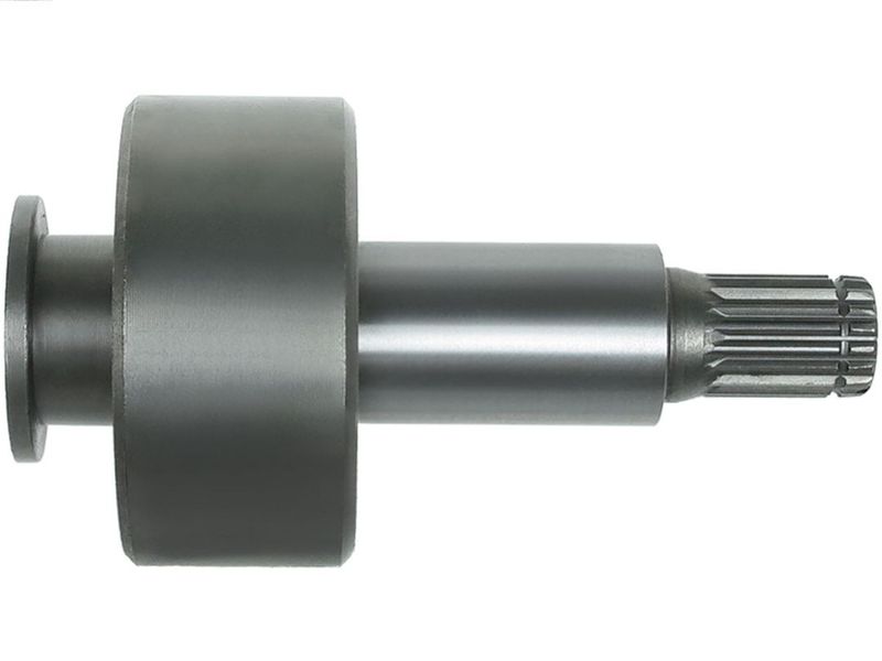 302242.JPG