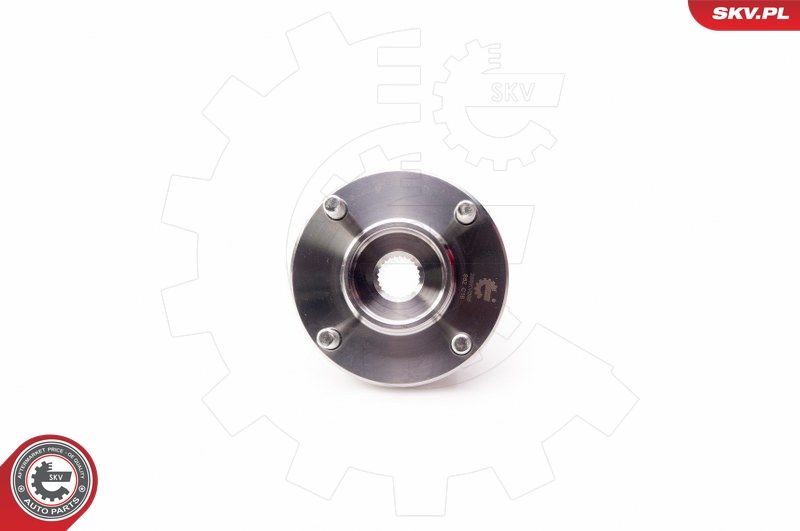 ESEN SKV 29SKV096 Wheel Bearing Kit