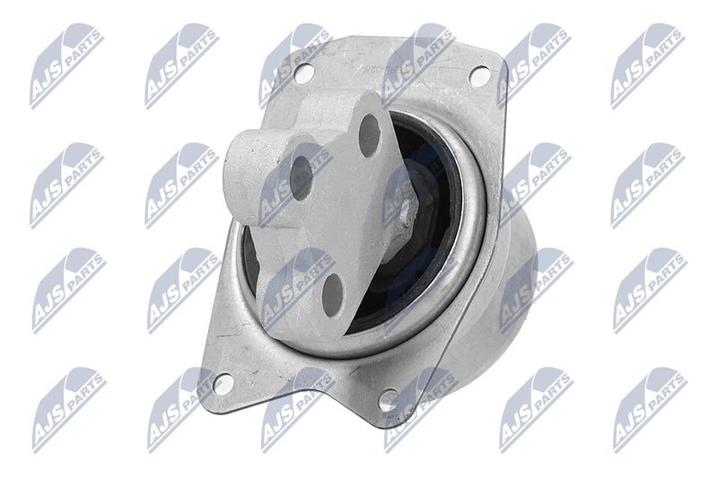 Paigutus, Mootor, NTY ZPS-PL-025