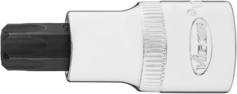 Padrun, VIGOR V2198N