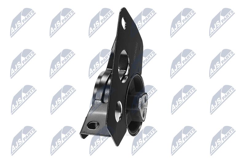 Paigutus, Mootor, NTY ZPS-DW-007