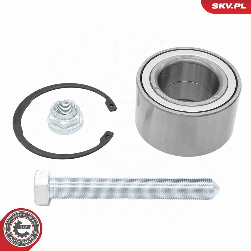 ESEN SKV 85SKV066 Wheel Bearing Kit