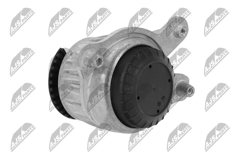 Paigutus, Mootor, NTY ZPS-ME-019