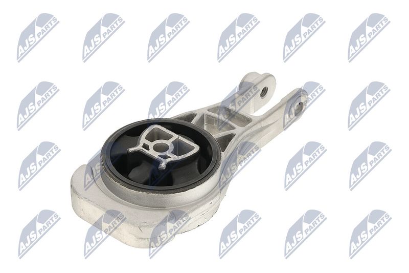 Paigutus, Mootor, NTY ZPS-PL-079