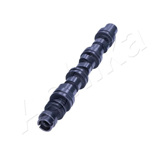 16DW013_1.JPG