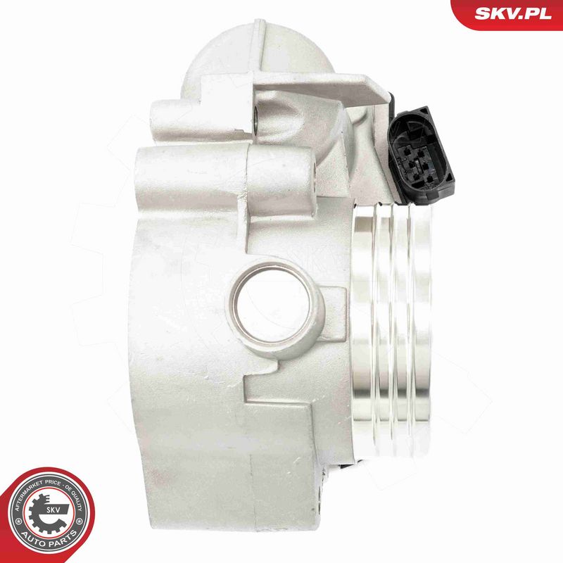 ESEN SKV 12SKV133 Throttle Body