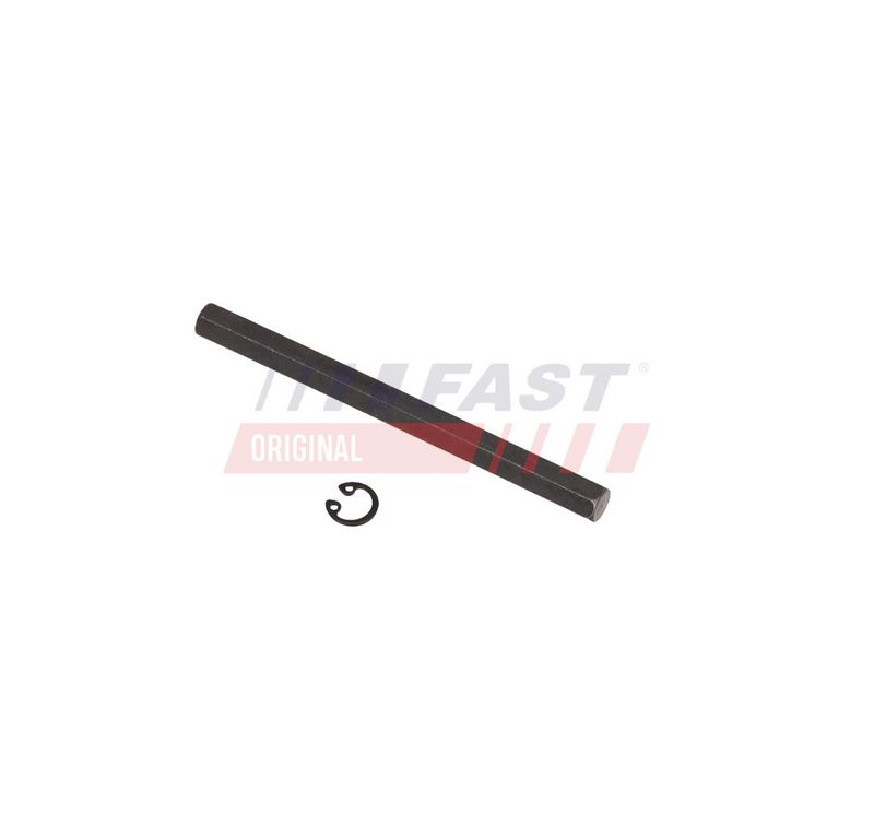 FAST FT04168 Alyvos siurblys
