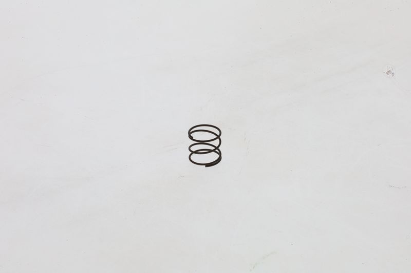 BOSCH 1464610363 Spring
