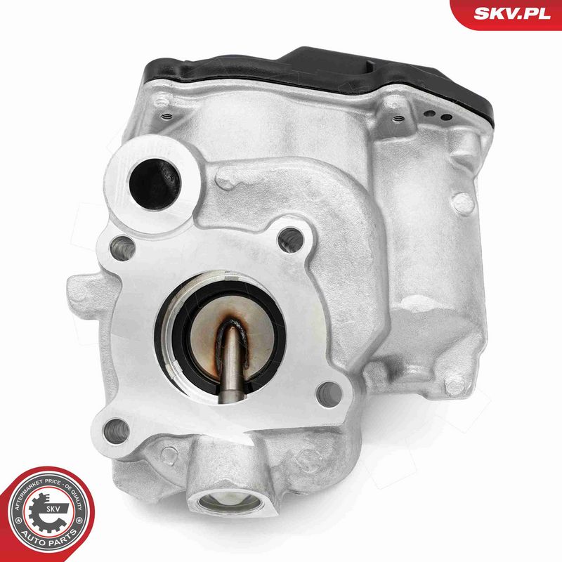 ESEN SKV 14SKV259 EGR Valve