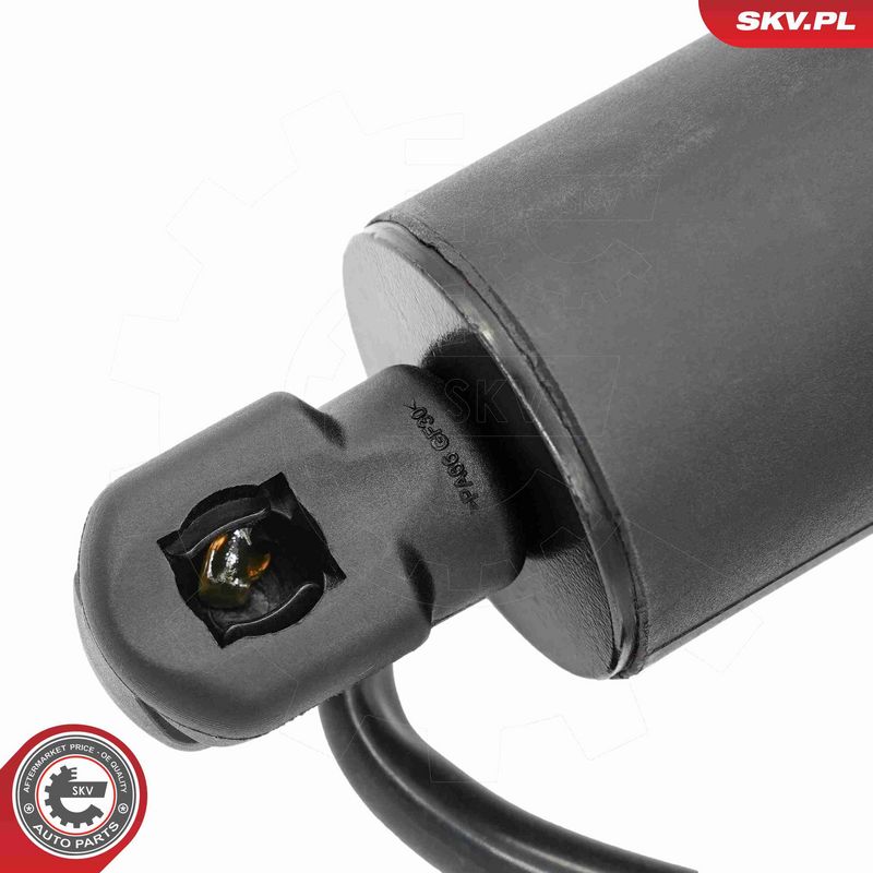 ESEN SKV 52SKV243 Electric Motor, tailgate