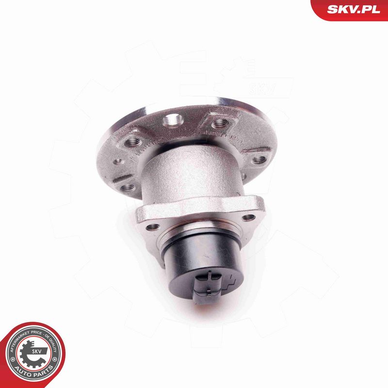 ESEN SKV 29SKV018 Wheel Bearing Kit