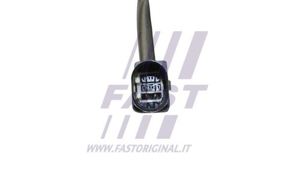 FT54109_4_1.JPG