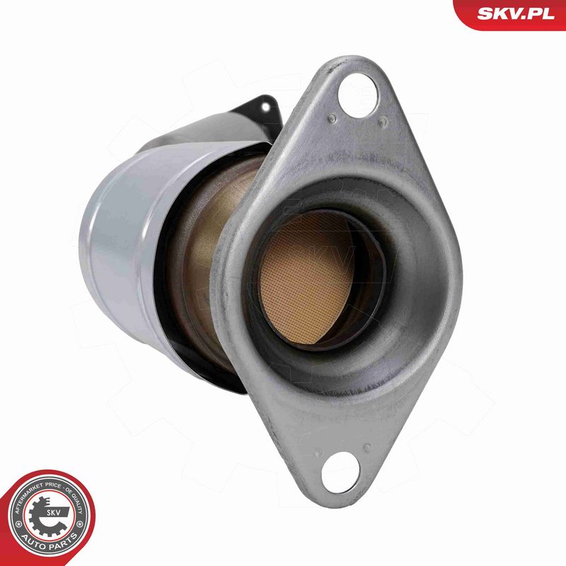 ESEN SKV 62SKV171 Catalytic Converter