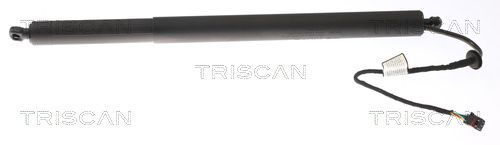 TRISCAN Gasveer, kofferruimte 8710 43301