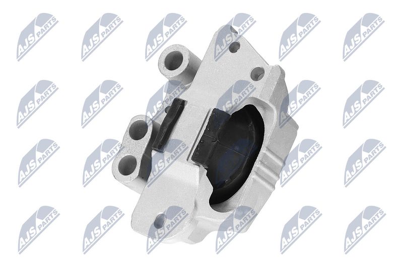 Paigutus, Mootor, NTY ZPS-CH-132