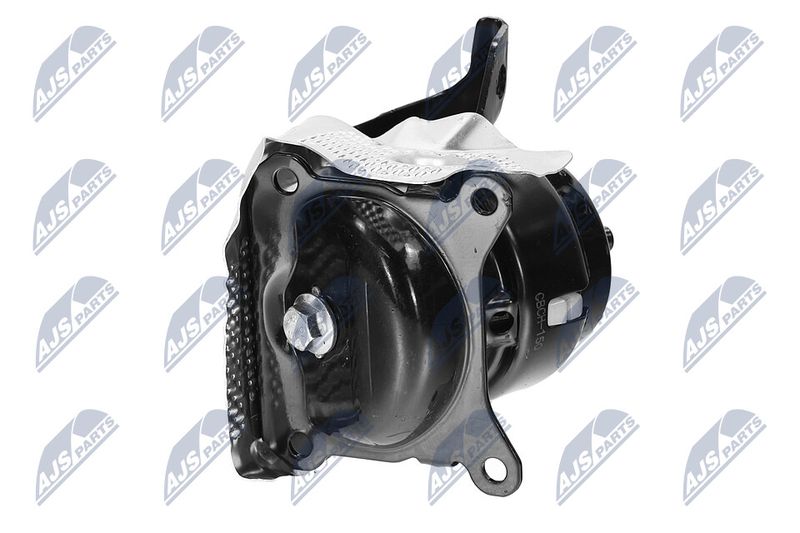 Paigutus, Mootor, NTY ZPS-CH-150