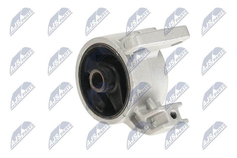 Paigutus, Mootor, NTY ZPS-KA-318