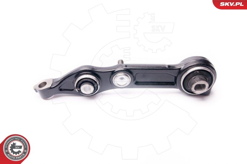 ESEN SKV 04SKV300 Repair Kit, control arm