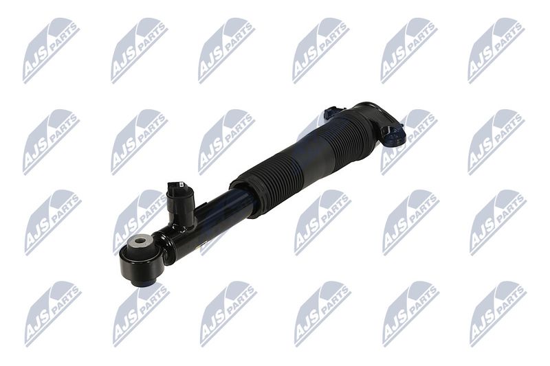 Amort, NTY A-LR-037