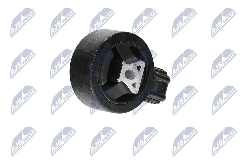 Paigutus, Mootor, NTY ZPS-CH-117