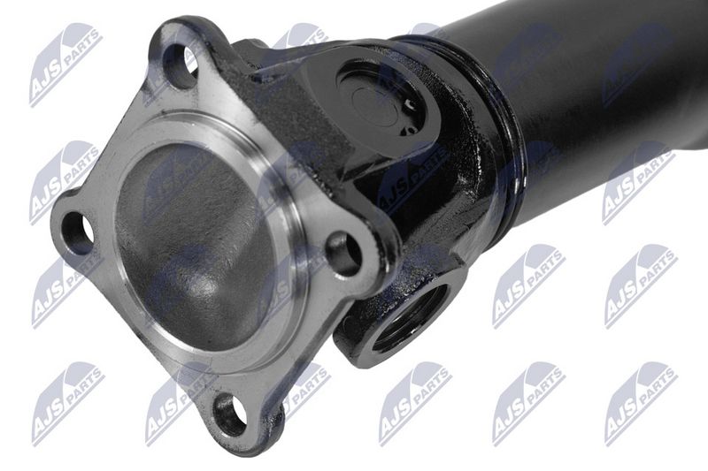 AX CARDANIC ANTRENAREA ARBORELUI NTY NWNLR045 3