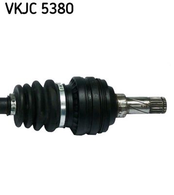 VKJC 5380_3.JPG