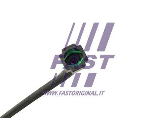 FT39603_2_1.JPG